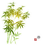 竹叶