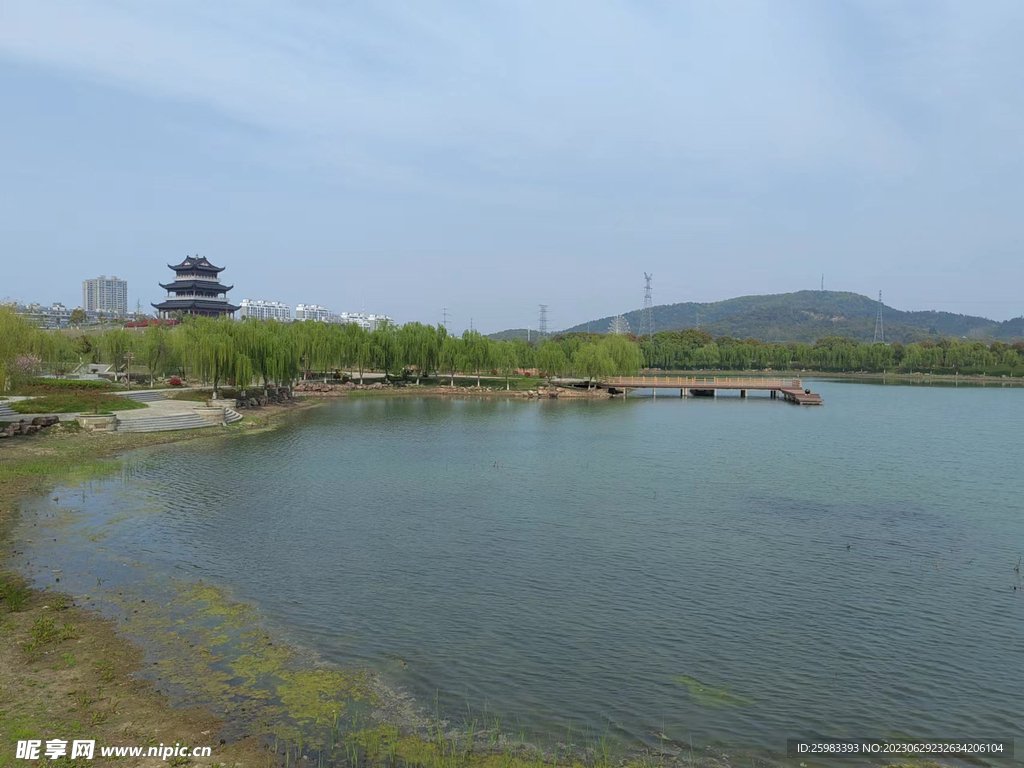 2019凌云茶山金字塔_旅游攻略_门票_地址_游记点评,凌云旅游景点推荐 - 去哪儿攻略社区