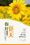  夏天你好