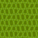 矢量底纹