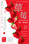  草莓 