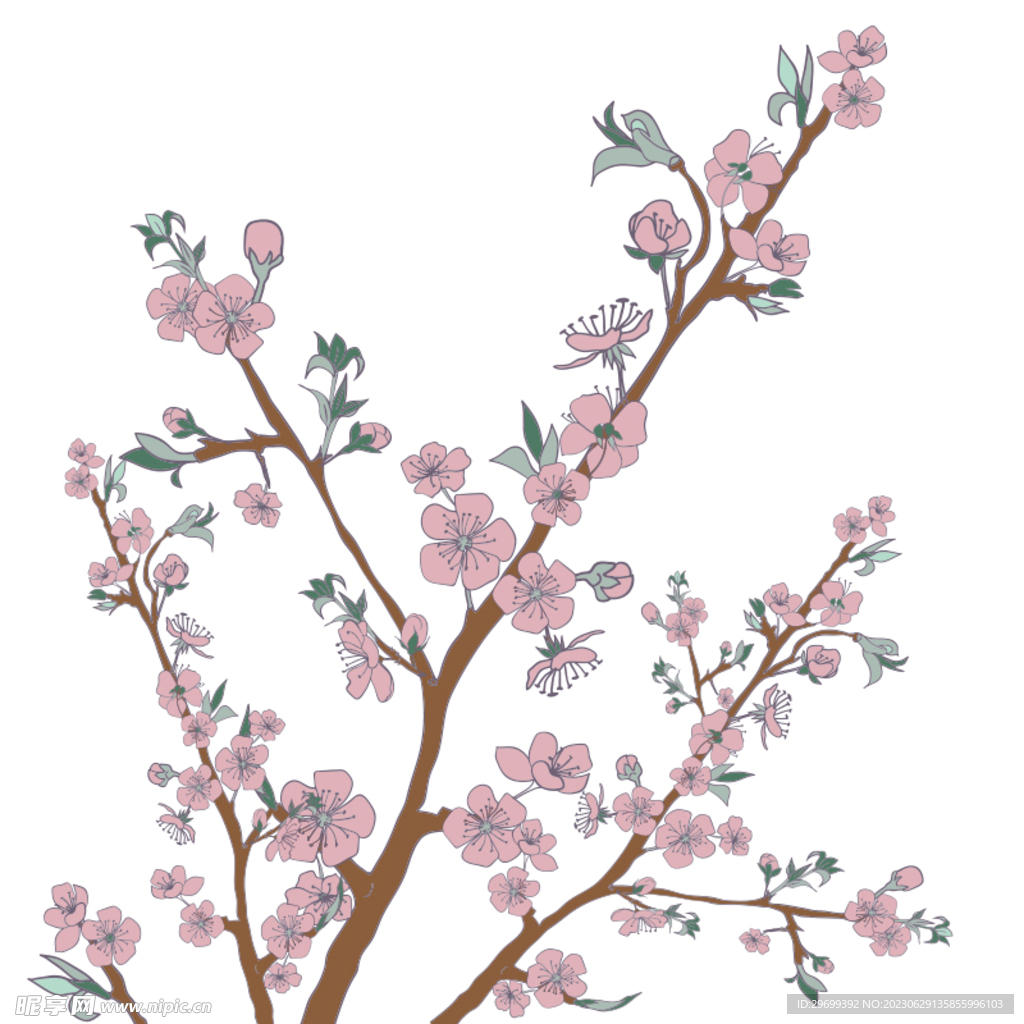 梅花