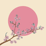 梅花
