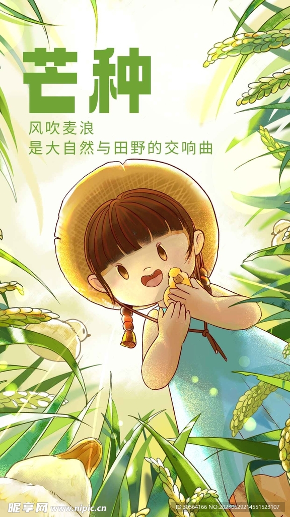 芒种
