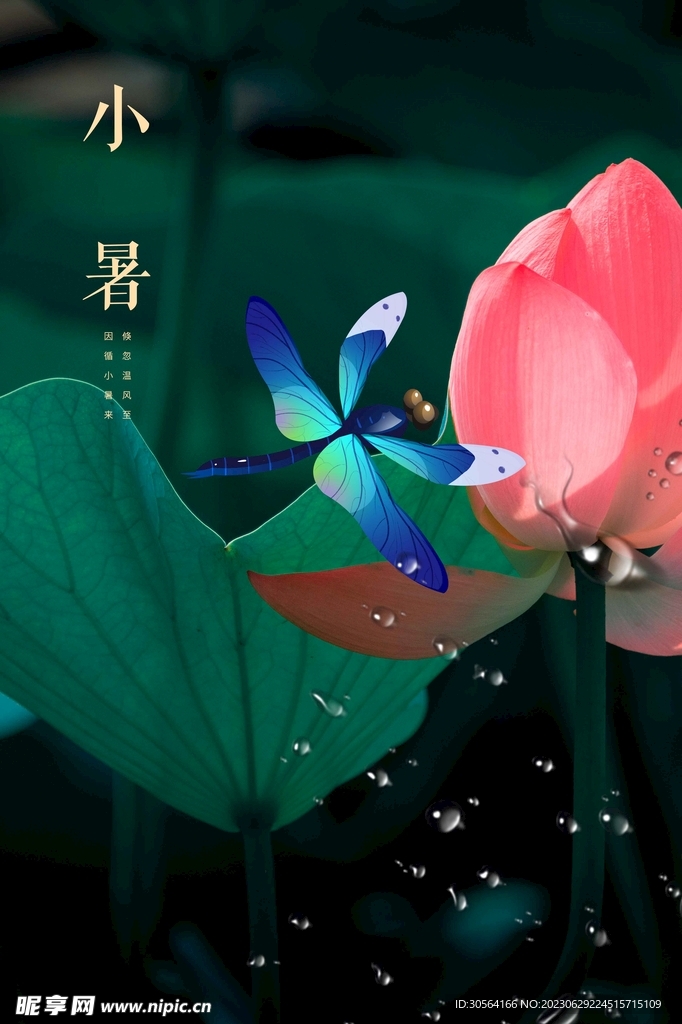 小暑