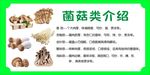 菌菇类介绍