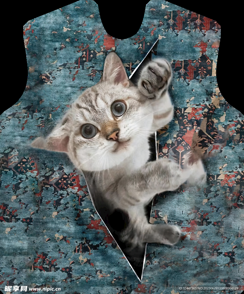 小猫