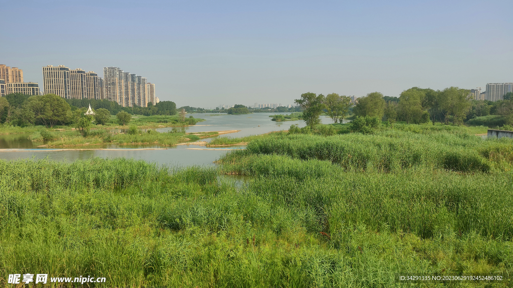 灞河湿地