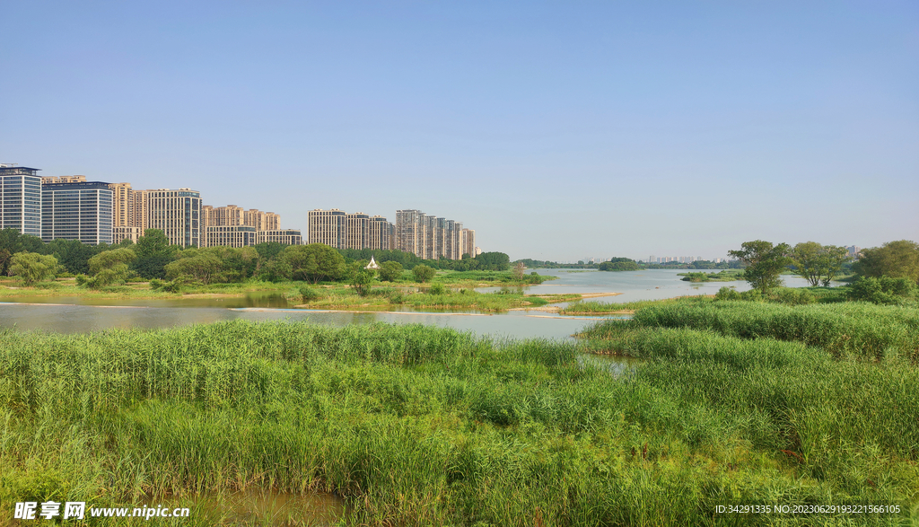 灞河湿地