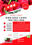 樱桃海报