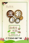 五谷杂粮海报