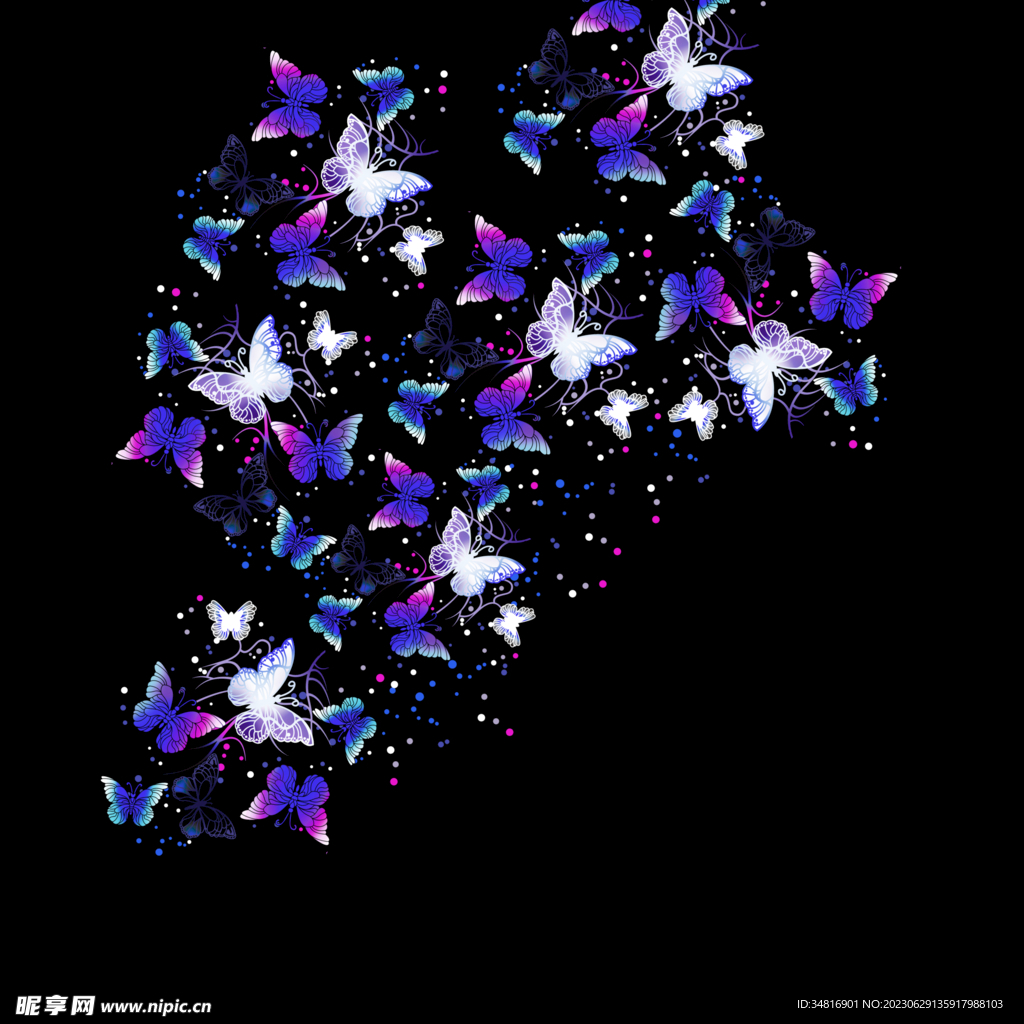 定位蝴蝶