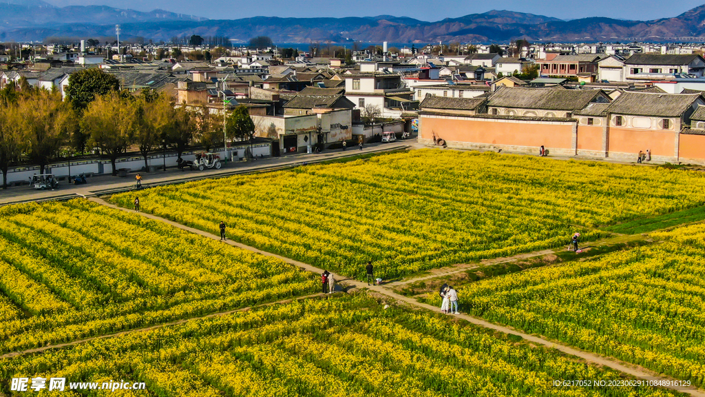 农田图片乡村蔬菜地麦田稻田自然