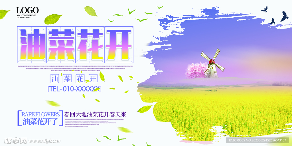 油菜花