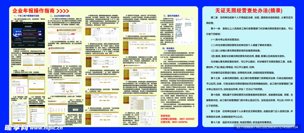 企业年报指南