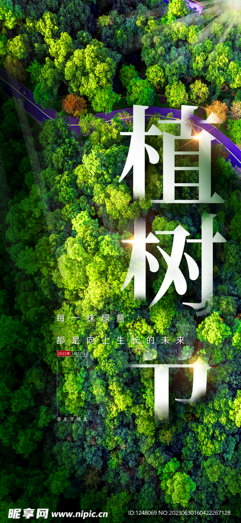 植树节