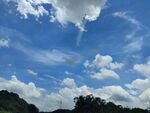 蓝天