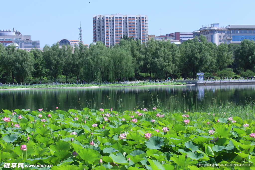 公园风景 