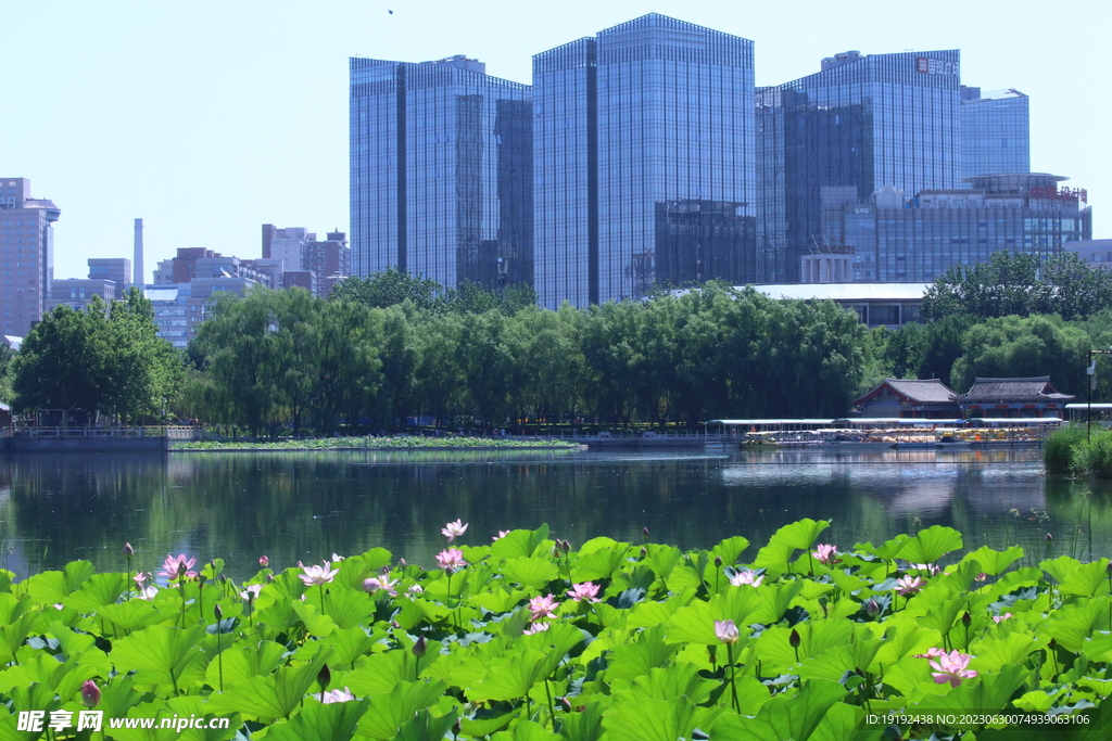 公园风景 