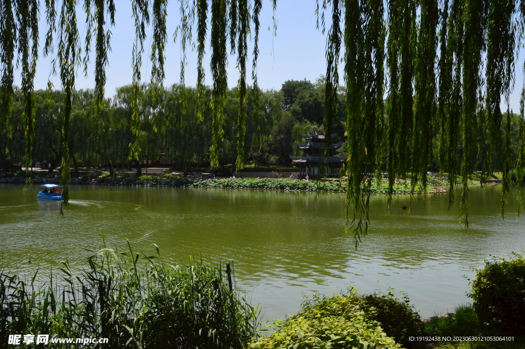 公园风景