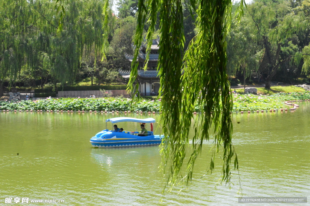 公园风景  