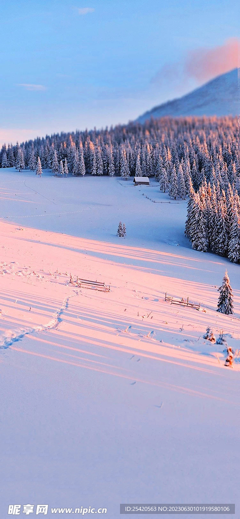 小雪背景