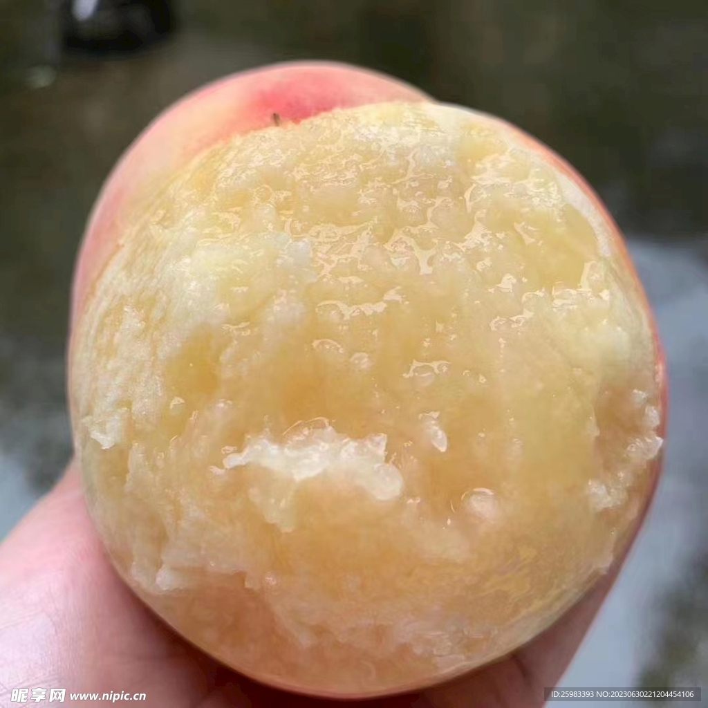 水蜜桃