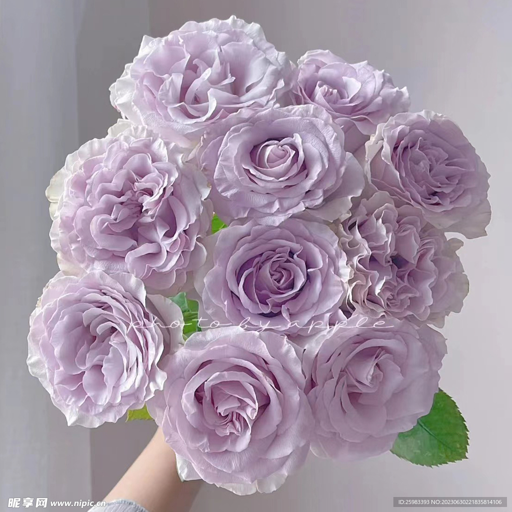 一束鲜花