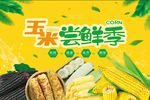 玉米尝鲜季