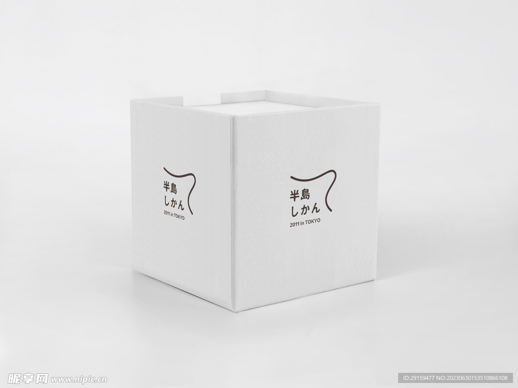 纸箱样机