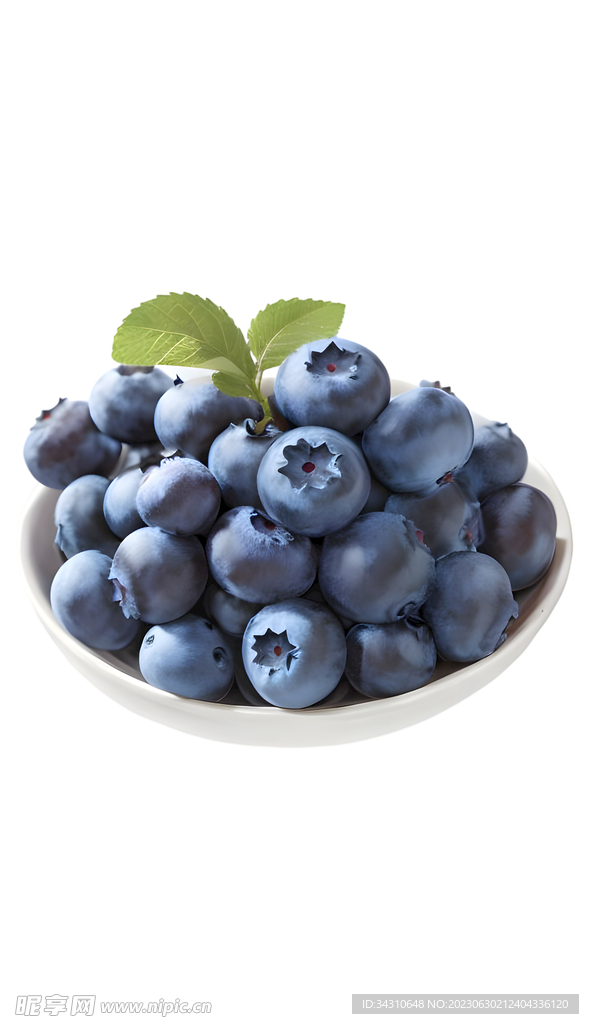 蓝莓水果紫色蓝色果实甜食