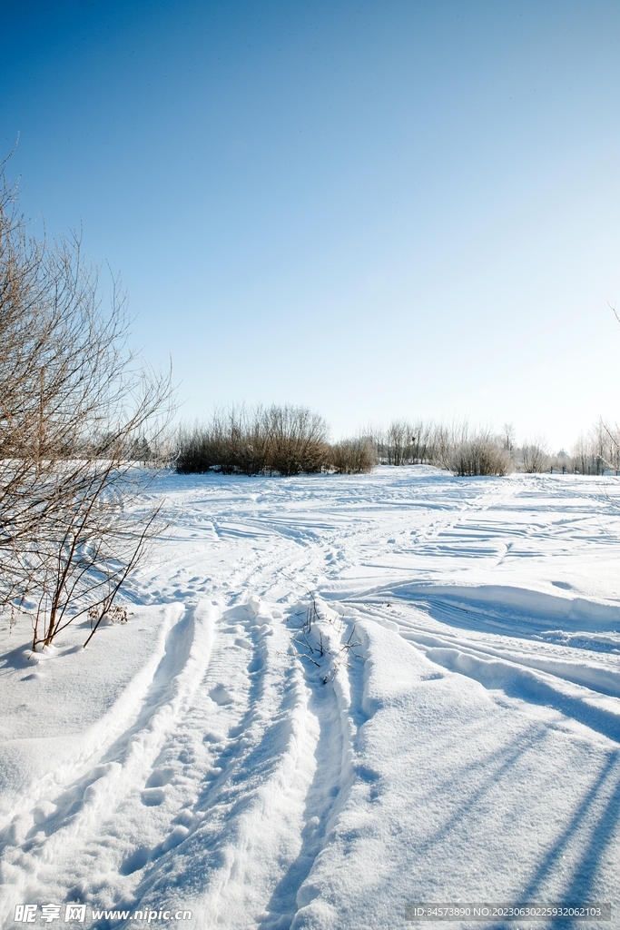 天野雪地