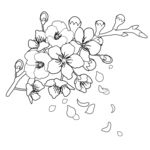 花朵花卉图案