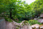 山水栾川