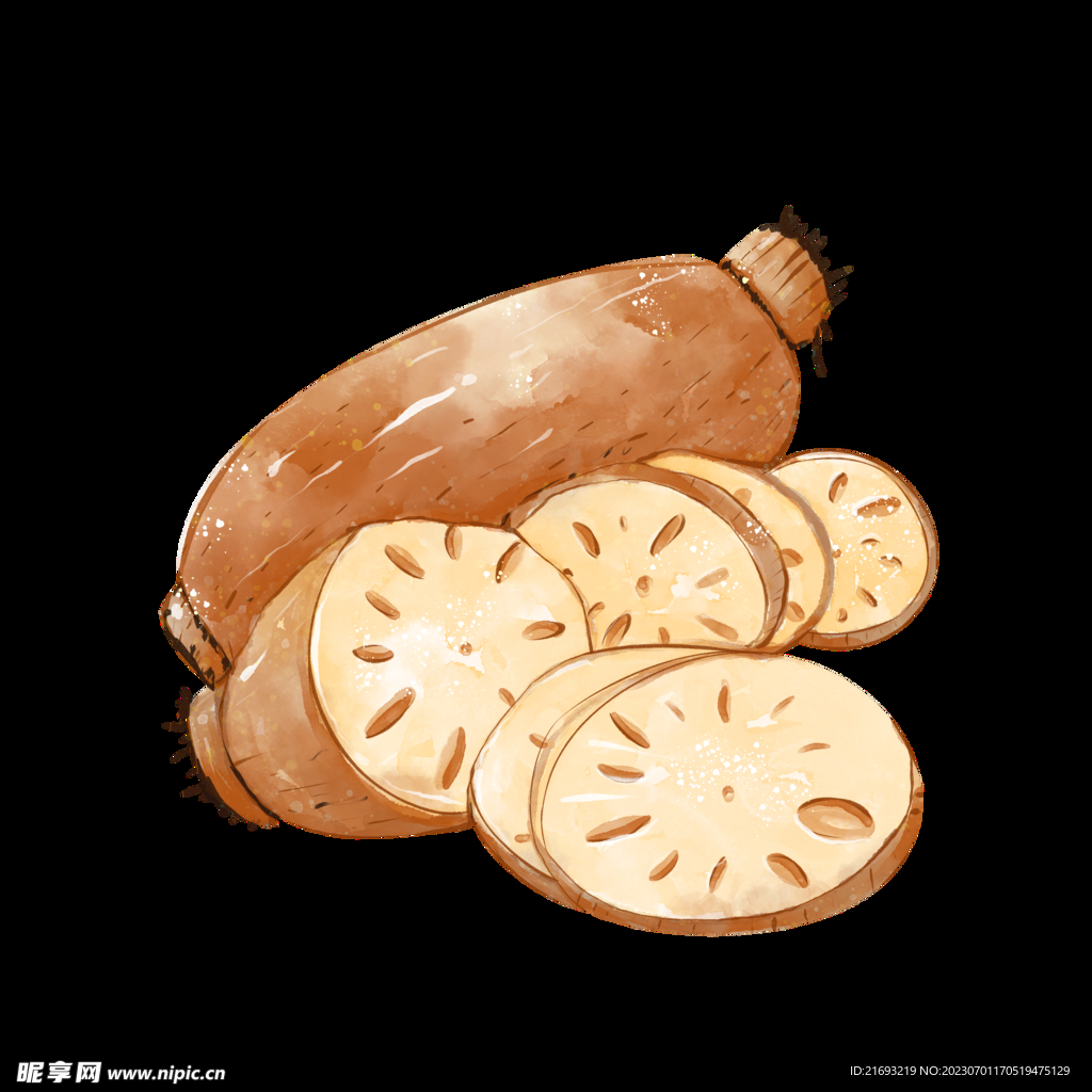 莲藕