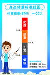 身高体重标准挂图