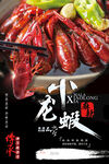 小龙虾图片