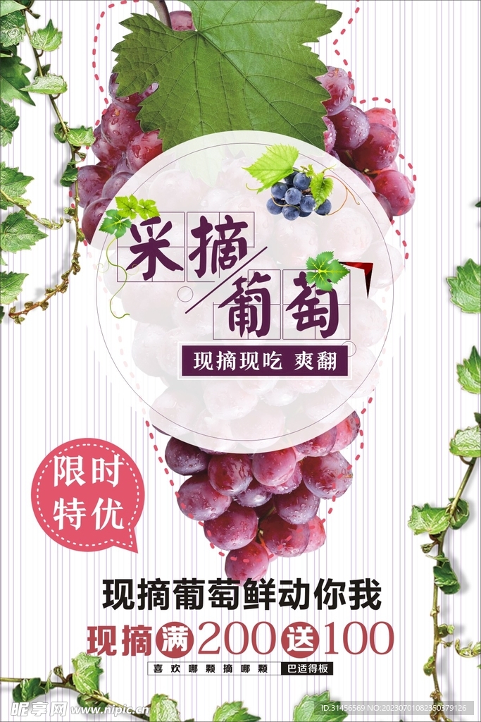 葡萄
