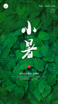 节气海报