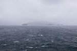 大海