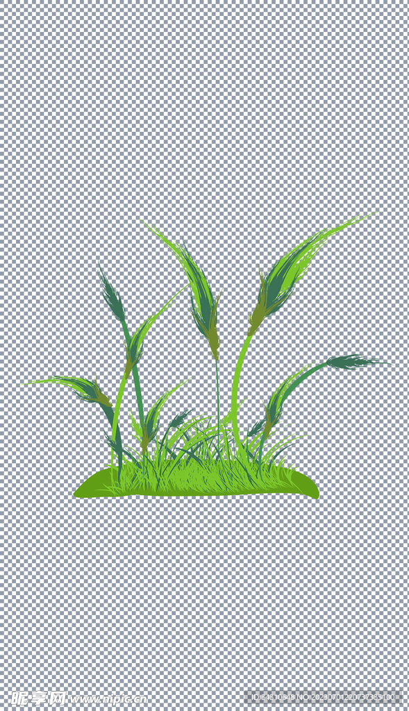 小草地草坪青青草植物