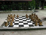 国际象棋