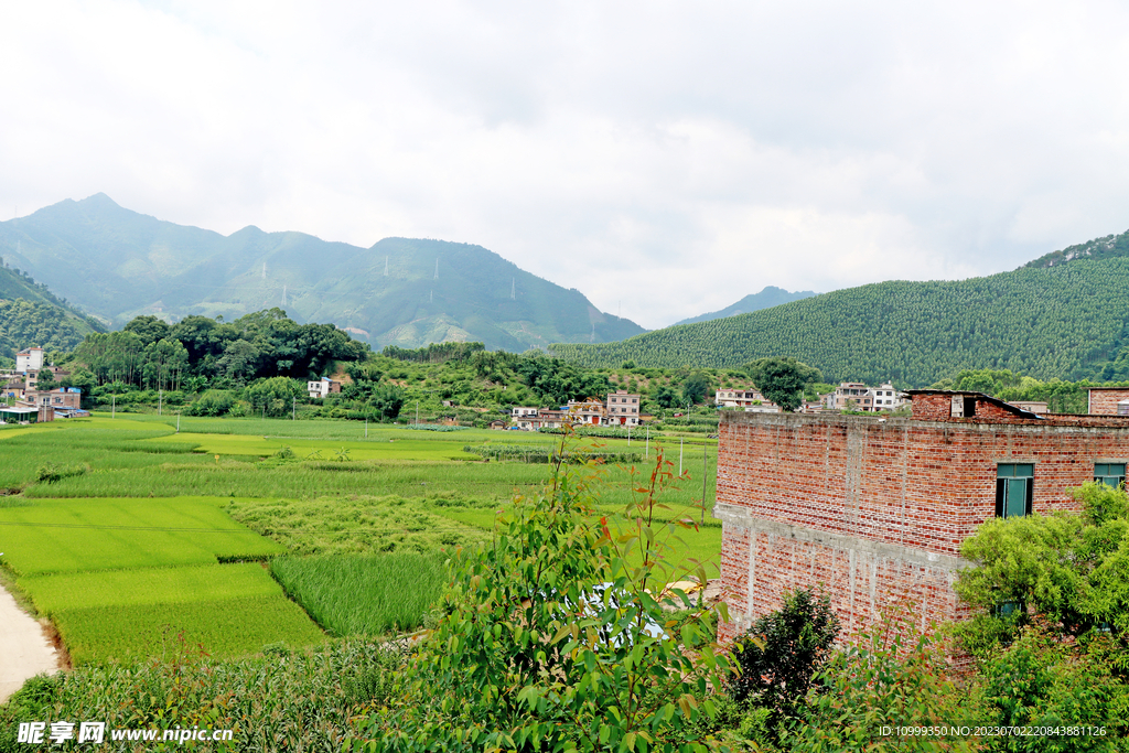 乡村风光