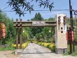 2023柴水村