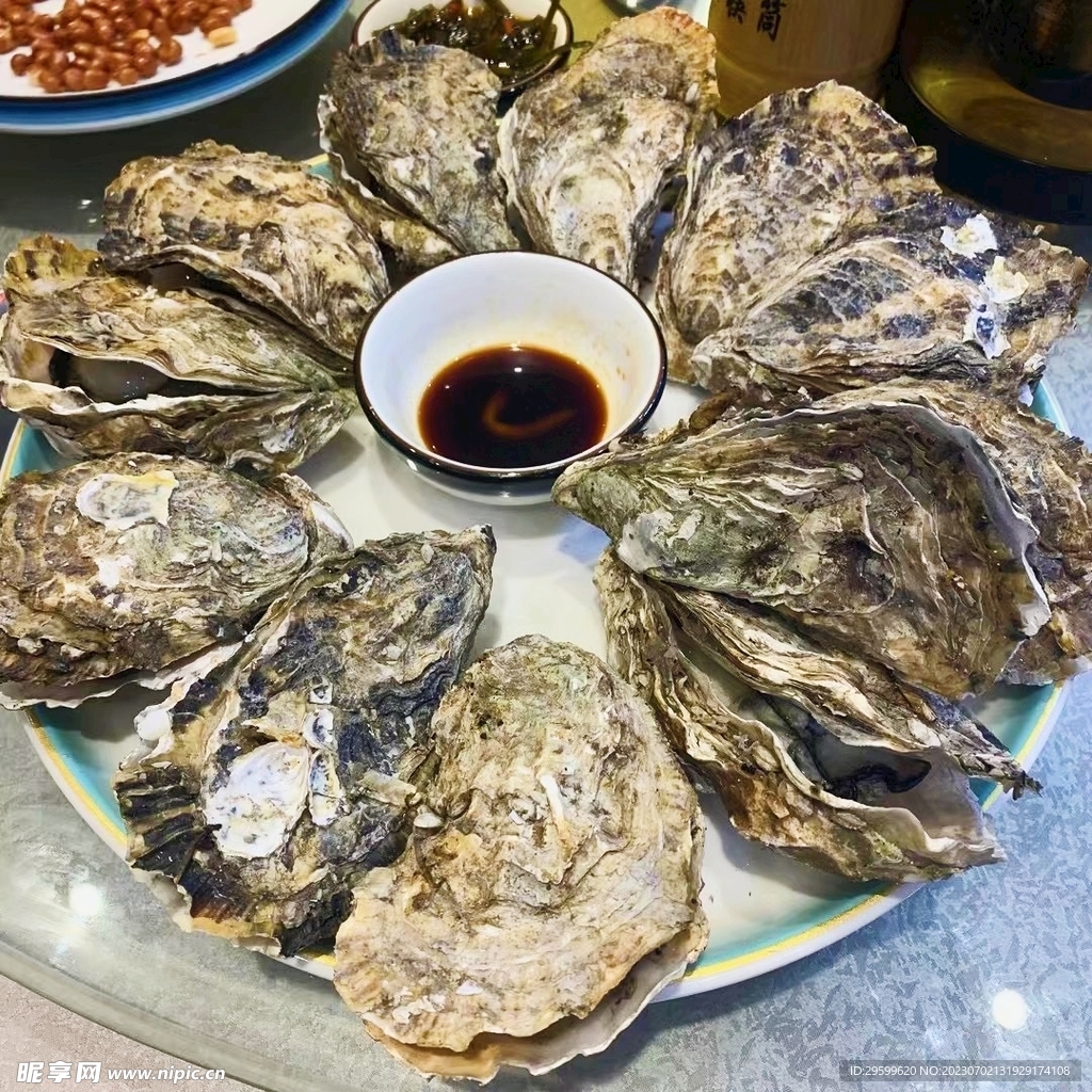 生蚝 