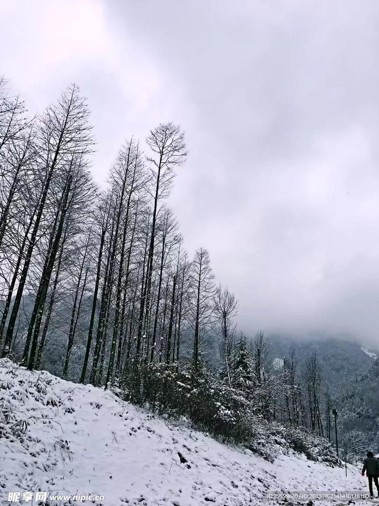 冬日雪景