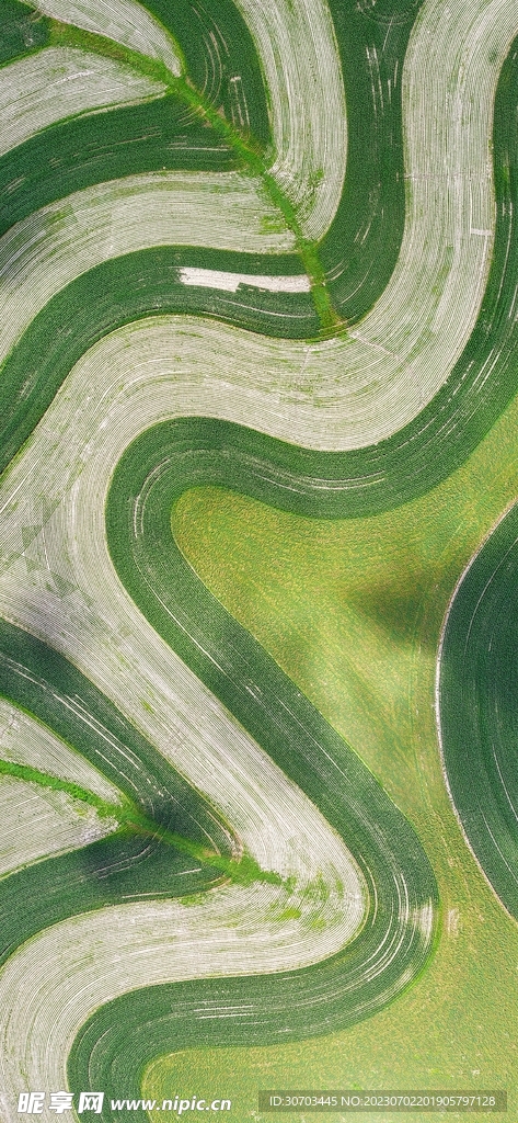 绿色纹理