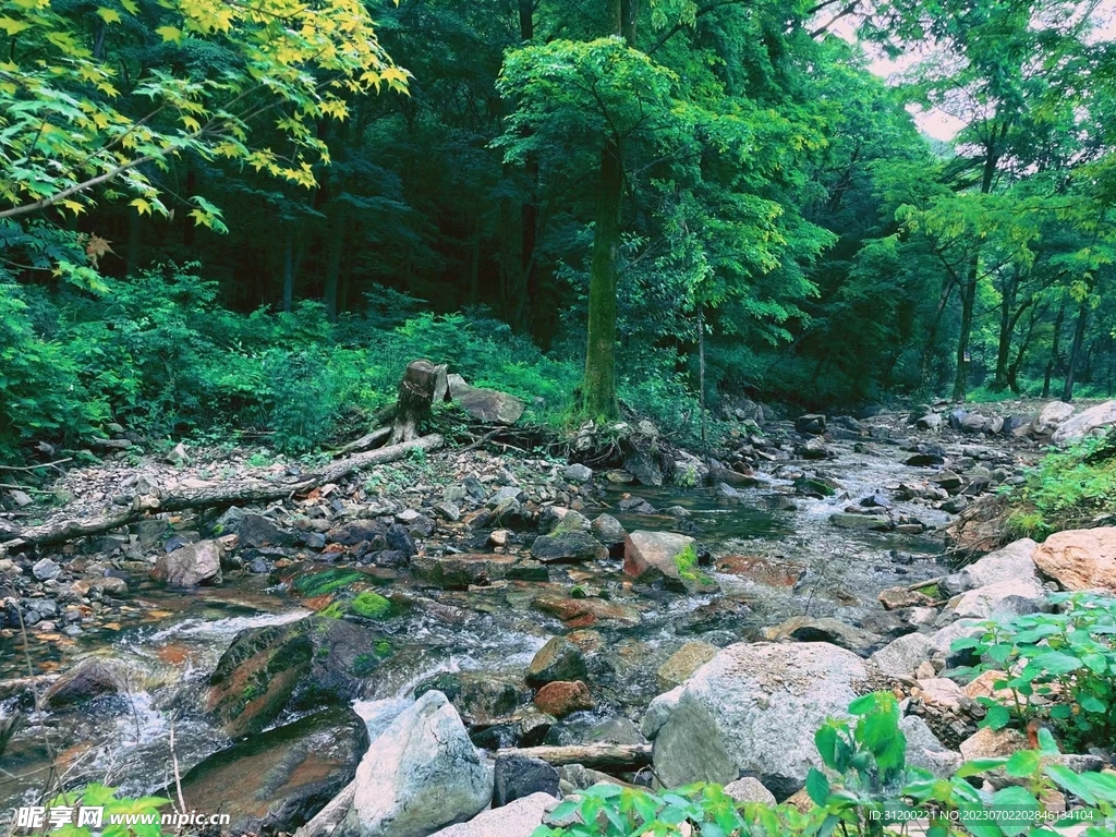 山间小溪