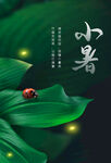 小暑