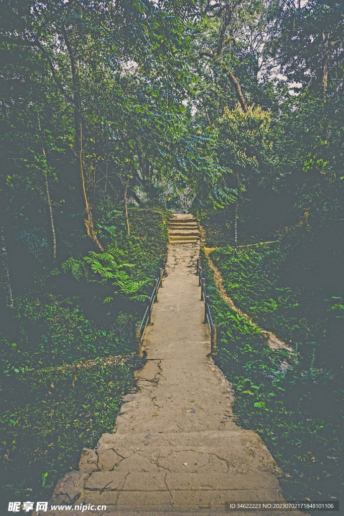 森林风光